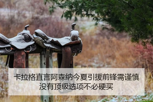 卡拉格直言阿森纳今夏引援前锋需谨慎 没有顶级选项不必硬买 | SHABASPORTS